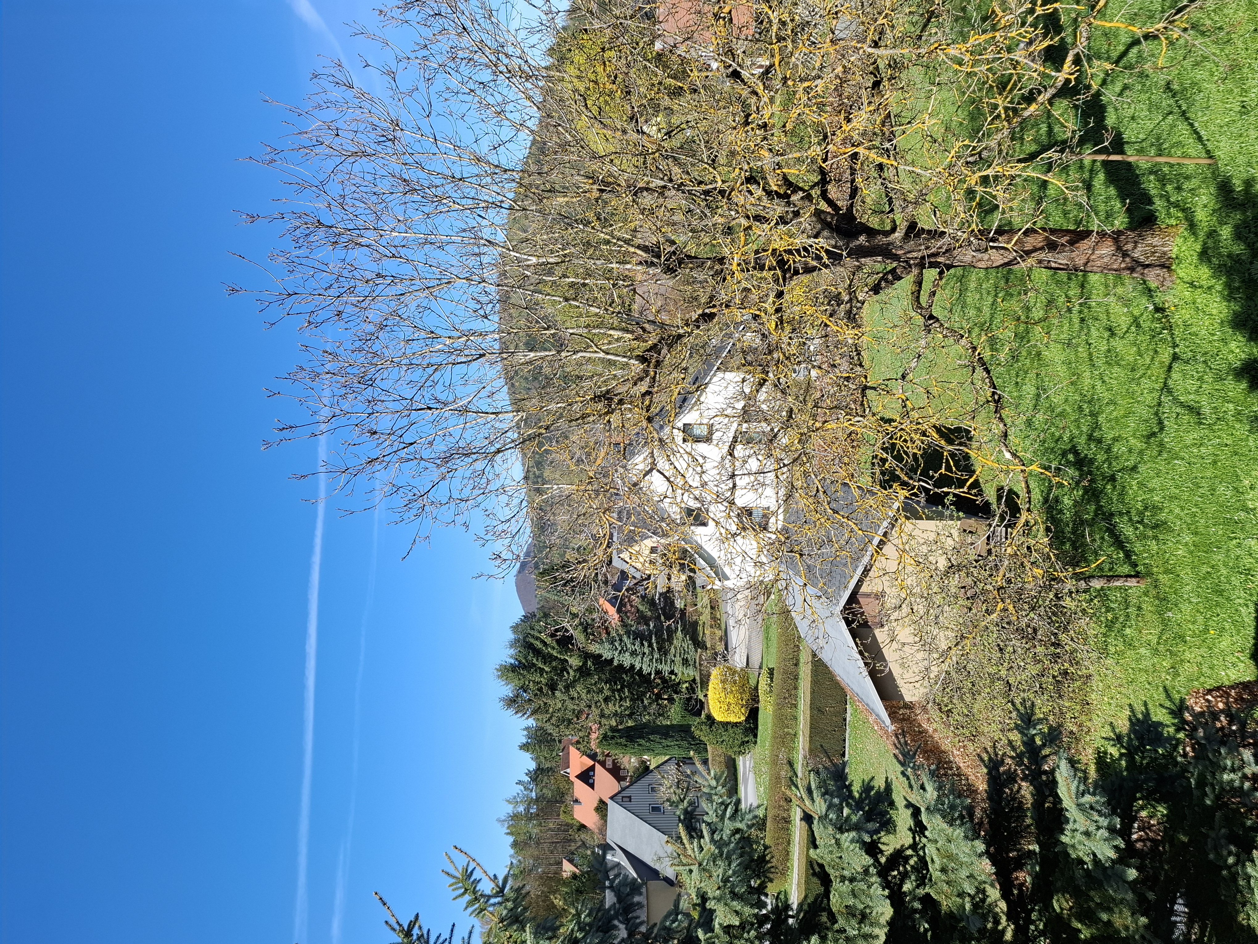 Aussicht vorne